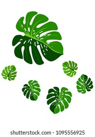 Vector summer tropical pattern with jungle leaves decor, fabric background. Floral jungle ornament with monstera leaf tropical pattern. Philodendron or monstera plant background.