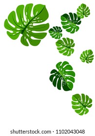 Vector summer tropical pattern with jungle leaves decor, fabric background. Floral jungle ornament with monstera leaf tropical pattern. Philodendron or monstera plant background.