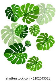 Vector summer tropical pattern with jungle leaves decor, fabric background. Floral jungle ornament with monstera leaf tropical pattern. Philodendron or monstera plant background.