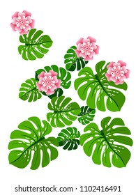 Vector summer tropical pattern with jungle leaves decor, fabric background. Floral jungle ornament with monstera leaf tropical pattern. Philodendron or monstera plant background.