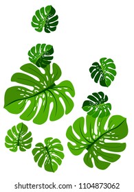 Vector summer tropical pattern with jungle leaves decor, fabric background. Floral jungle ornament with monstera leaf tropical pattern. Philodendron or monstera plant background.