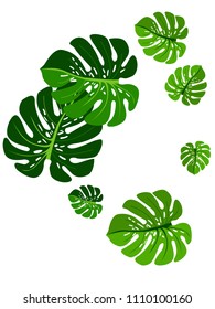 Vector summer tropical pattern with jungle leaves decor, fabric background. Floral jungle ornament with monstera leaf tropical pattern. Philodendron or monstera plant background.