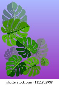 Vector summer tropical pattern with jungle leaves decor, fabric background. Floral jungle ornament with monstera leaf tropical pattern. Philodendron or monstera plant background.