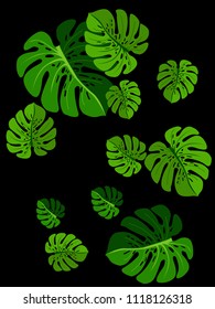 Vector summer tropical pattern with jungle leaves decor, fabric background. Floral jungle ornament with monstera leaf tropical pattern. Philodendron or monstera plant background.