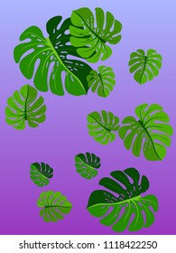 Vector summer tropical pattern with jungle leaves decor, fabric background. Floral jungle ornament with monstera leaf tropical pattern. Philodendron or monstera plant background.