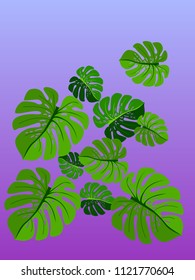 Vector summer tropical pattern with jungle leaves decor, fabric background. Floral jungle ornament with monstera leaf tropical pattern. Philodendron or monstera plant background.