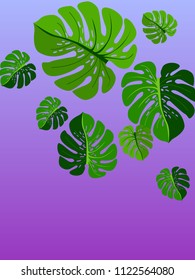 Vector summer tropical pattern with jungle leaves decor, fabric background. Floral jungle ornament with monstera leaf tropical pattern. Philodendron or monstera plant background.