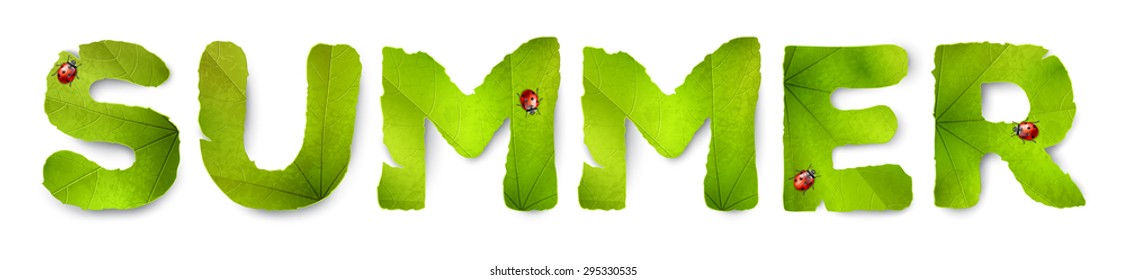 Vector Summer word, made from green leaves, isolated on white