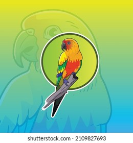 Vector Sun Conure Parrot Bird Illustration