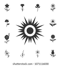 Vector sun. icon. Detailed set of Flower illustrations. Premium quality graphic design icon. One of the collection icons for websites, web design, mobile app on white background