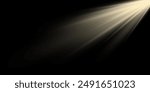 Vector sun overlay light effect. Glowing sunrays on black background layer. Stock royalty free