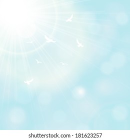 Vector sun and seagulls with lenses flare.