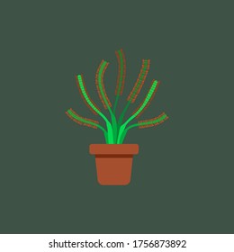 vector of sundew plant which is carnivorous plant with green background