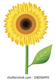 Vector sunflower