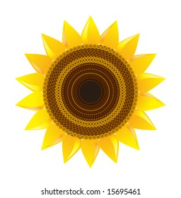 Vector sunflower