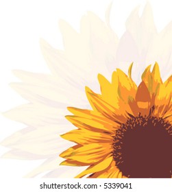 vector sunflower