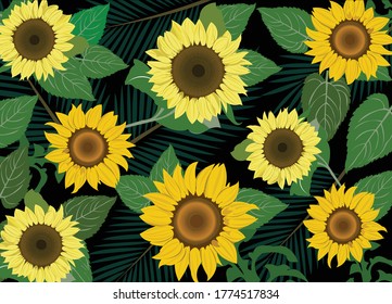 Vector Sunflower, Sunflower Vector, Background, Summer 