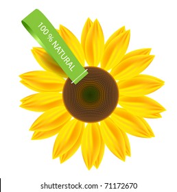 Vector sunflower with fabric label 100% natural .
