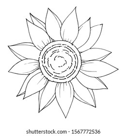 Vector Sunflower floral botanical flower. Wild spring leaf wildflower isolated. Black and white engraved ink art. Isolated sunflowers illustration element.