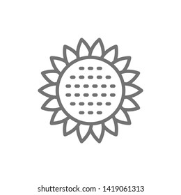 Vector sunflower, flower line icon.