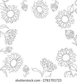 Vector sunflower frame, template, border, graphic hand drawn isolated fluffy illustration. Botanical hand drawn illustration isolated on background. Ideal for seasonal, halloween, forest, or nature
