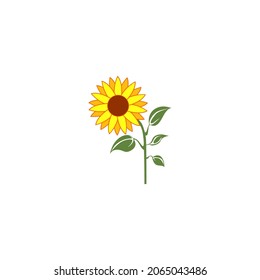 Vector sunflower with green leaf stem, suitable for web icon, etc.