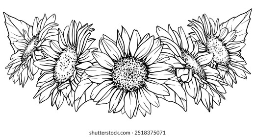 Vector Sunflower illustration. Flower arrangement drawing in line art style. Botanical sketch of chamomile painted by black inks. Hand Drawn Bouquet of daisies. Graphics element outline