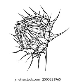 Vector sunflower illustration in line art style. Graphic monochrome drawing. Hand drawn floral outline sketch, engraved illustration. Design element for coloring book page, tattoo, logo, icon, label.