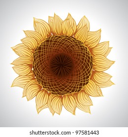 Vector sunflower isolated