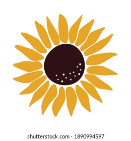Vector Sunflower isolated on white background. Hand drawn flat Sunflower illustration. Summer flower clipart. Wildflower poster