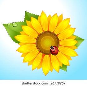 vector sunflower with ladybird on sky