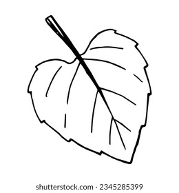 Vector sunflower leaf. Botany design element. Hand drawn plant leaf in black outline. Nature. Seasonal clipart.