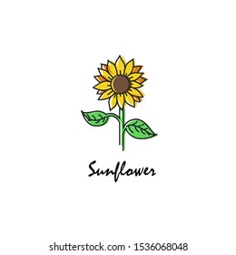 [Vector] [Sunflower on white background] [Flat Cartoon Style]
