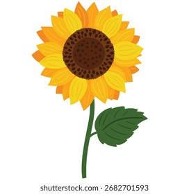 Girasol de Vector sobre un fondo blanco