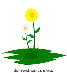 vector sunflower plant with fresh growing leaves, perfect for backgrounds and wallpapers