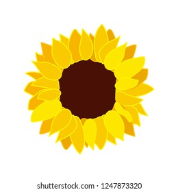 vector sunflower seed head flat flower icon