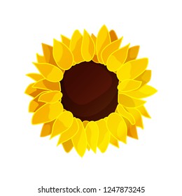 vector sunflower seed head flower cartoon plant