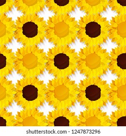vector sunflower seed head flower seamless pattern