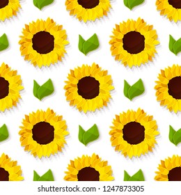 vector sunflower seed head flower seamless pattern