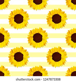 vector sunflower seed head flower seamless pattern