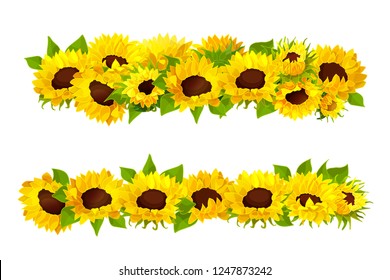 vector sunflower seeds head flower frame border