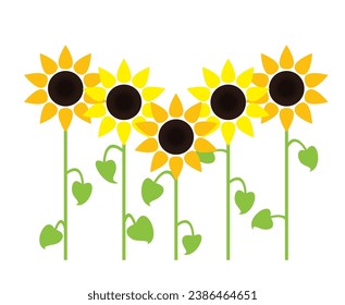 ilustración de fondo de girasol vectorial