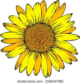 Vektorsonnenblume. Sommernatur. Handgezeichnete, orange-gelbe Blumengrafik.