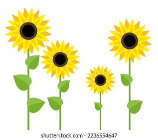 vector sunflower symbols isolated on white background. summer garden flat illustration. group of flowering sunflowers