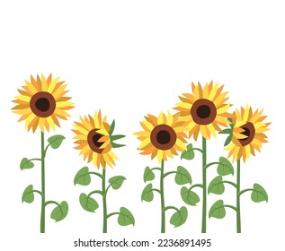 Vektorsymbol für Sonnenblumen einzeln auf weißem Hintergrund.