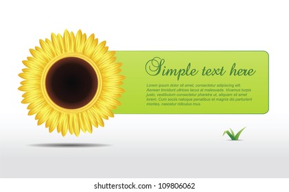Vector sunflower with text field and grace