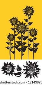Vector of sunflowers and elements for design.