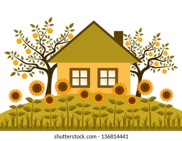 vector sunflowers in garden