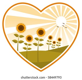 vector sunflowers in heart on white background
