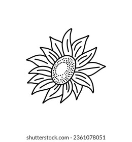 Vector Sunflowers illustration, Black and White Floral outline set isolated on white background